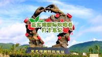 亚龙湾国际玫瑰谷打卡笔记