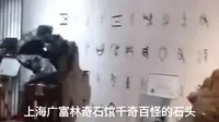 上海广富林奇石馆千奇百怪石头
