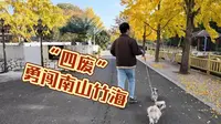 拖家带狗去溧阳！四个废材连南山竹海都爬不动