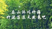 乐山沐川竹海，竹波荡漾天然氧吧