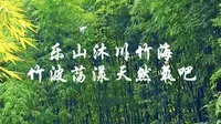 乐山沐川竹海，竹波荡漾天然氧吧