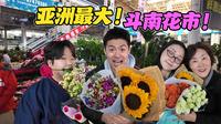人生第一次见这么多鲜花！韩国人逛亚洲最大花市