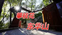 攀枝花东华山徒步攻略