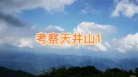 天井山国家森林公园，生物多样性丰富，见到从未见过的竹节虫