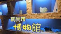 参观鹤岗市博物馆，全方位了解鹤岗的前世今生,晚上鹤岗火车站附近住宿品尝烤冷面