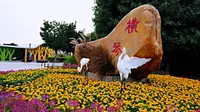 珠海横琴芒洲湿地公园，免费停车免门票，芦苇栈道红树林里观鸟飞