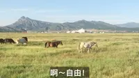 呼和塔拉草原，跟爸妈去散步！
