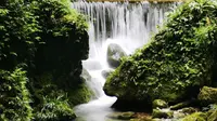 青城山后山瀑布群
