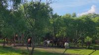 鄂伦春风情度假村