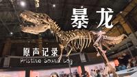 【vlog】国家自然博物馆 霸王龙特展 全程记录