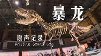【vlog】国家自然博物馆 霸王龙特展 全程记录