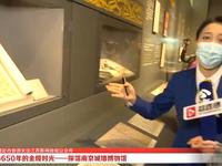 【国三】南京城墙博物馆（江苏·南京）【云游直播回放】-溜达搬运