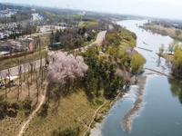 河边湖边全都是露营的，西安沣河湿地公园美景！赶紧来玩吧