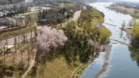 河边湖边全都是露营的，西安沣河湿地公园美景！赶紧来玩吧