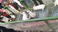 春游-扬州茱萸湾公园
