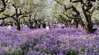 畅游宿迁三台山森林公园 梨兰会美不胜收 | 骑行 沭阳—宿迁 23.04.02