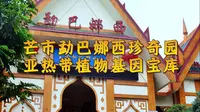 芒市勐巴娜西珍奇园——亚热带植物基因宝库