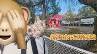 豹猫下乡日记02: 走进下淤村 位于浙江衢州开化音坑乡的下淤村是中国美丽休闲乡村，很多艺术家在这里有工作室。户外环境超舒适，可以漂流，现在天气太冷就只散散步啦～