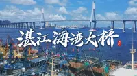 【航拍】中国大陆最南端城市跨海大桥：湛江海湾大桥，粤西第一跨海大桥，湛江最美丽的风景线！