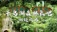 千岛湖森林氧吧，游玩攻略。一票通玩，原子飞车，飞天魔毯，七彩滑道等。亲子带娃，情侣约会 杭州淳安游玩 探店打卡 旅游攻略。千岛湖旅行 江浙沪周边游 遛娃好去处