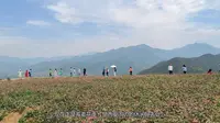 西安乡村游：蓝田荞麦岭