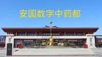 安国数字中药都—现代化的中药材市场