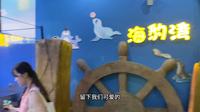 带大家逛一逛合肥海洋馆，省的你们花钱去啦