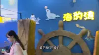 带大家逛一逛合肥海洋馆，省的你们花钱去啦