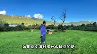 丽江攻略之文海村