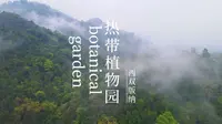 西双版纳打卡-中科院热带植物园，西双版纳唯一5A级景区