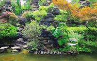 重庆南山植物园游玩