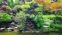 重庆南山植物园游玩