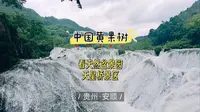 最费腿的天星桥景区，告诉你如何get精华段。这里主要观赏石、树、水的美妙结合，是天然的盆景园，重点看天星洞和银链坠潭瀑布