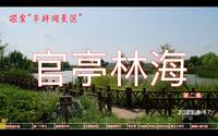官亭林海风景区游玩（中）