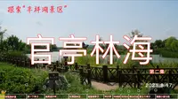 官亭林海风景区游玩（中）