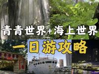 深圳青青世界保姆级攻略