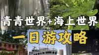 深圳青青世界保姆级攻略