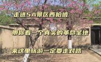 走进免费的5A级景区西柏坡，看真实的革命圣地，新中国从这里走来，来这里一定要走对了路