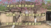 走进免费的5A级景区西柏坡，看真实的革命圣地，新中国从这里走来，来这里一定要走对了路