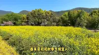上海崇明东平国家森林公园旅游攻略