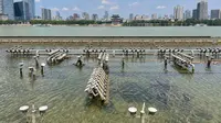 长沙橘子洲焰火广场音乐喷泉现状