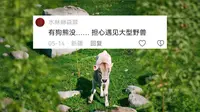 唐布拉狗熊沟里有狗熊吗？