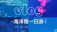 一日刷遍天津海洋极地公园