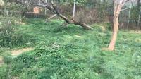 苏州上方山森林动物园食肉区