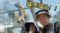 神雕山动物园旅行vlog！一起来看神雕吧！
