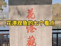 花港观鱼的七个看点
