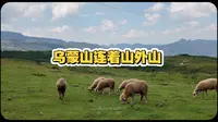 乌蒙大草原游记