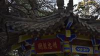 涡阳县历史文化遗产—辉山烈士陵园      山海铭记您，忠骨励后人。
