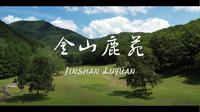 伊春-金山鹿苑