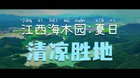 江西新干：海木源景区人气爆棚
